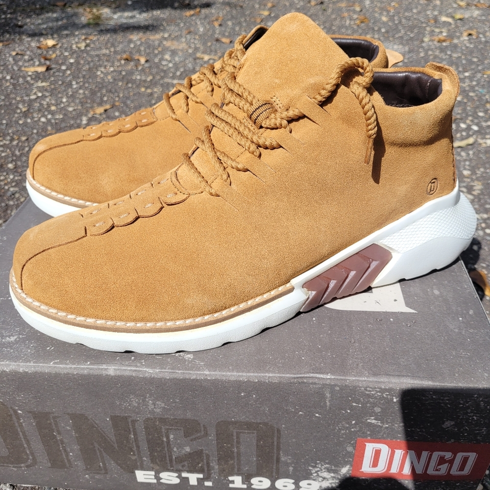 Dingo shoes